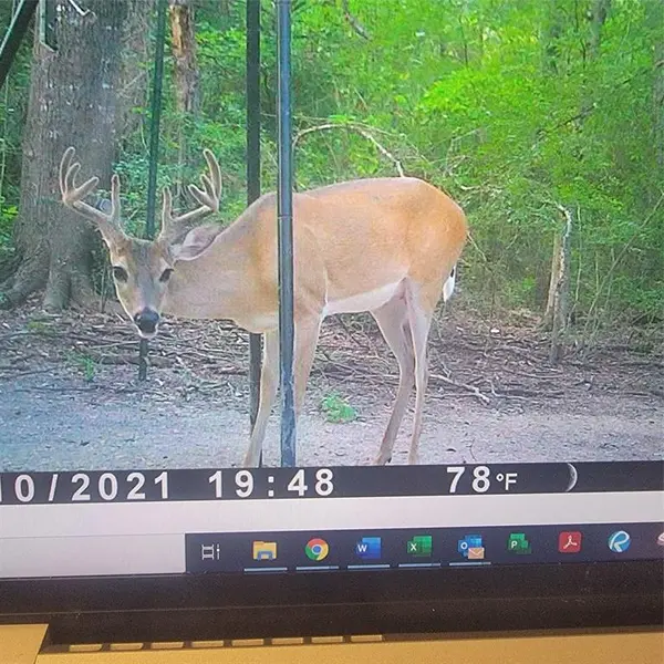 555 Private Road 3428, Milano, TX 76558