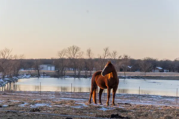 189 Nautilus Court, Decatur, TX 76234