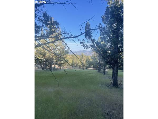 0 Wiley Creek RD, Dayville, OR 97825