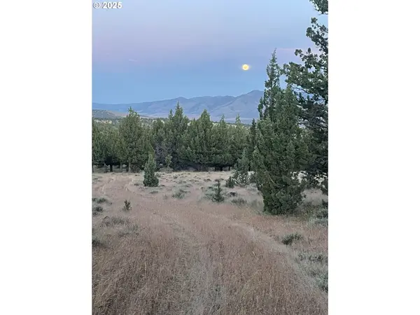 0 Wiley Creek RD, Dayville, OR 97825