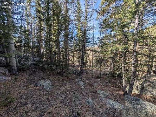 386 Brook DR, Lake George, CO 80827