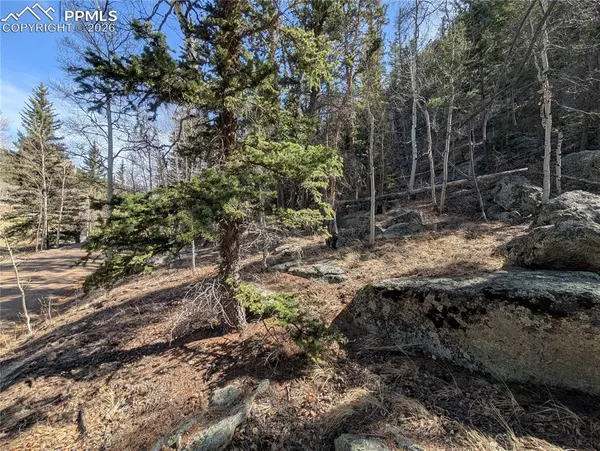 386 Brook DR, Lake George, CO 80827