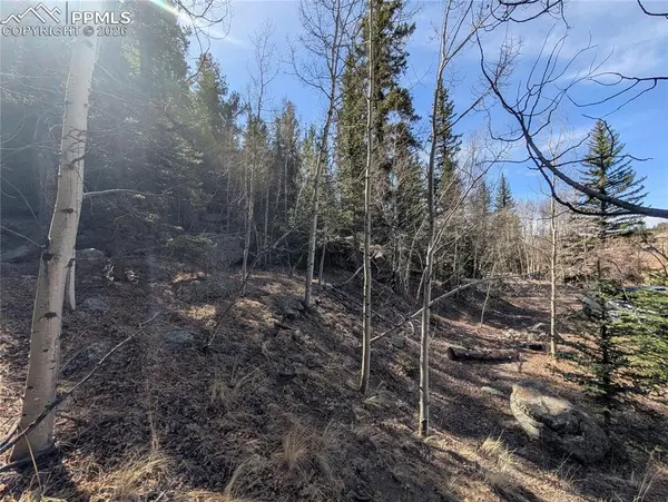 386 Brook DR, Lake George, CO 80827