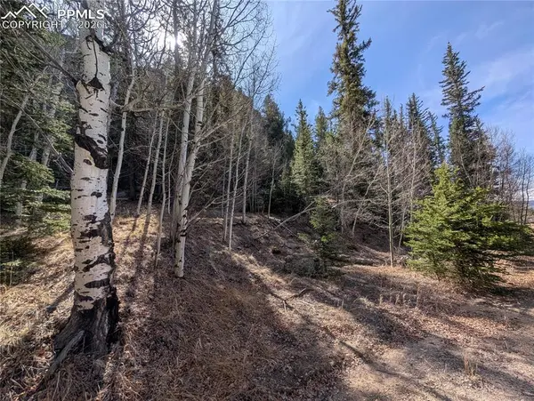 386 Brook DR, Lake George, CO 80827