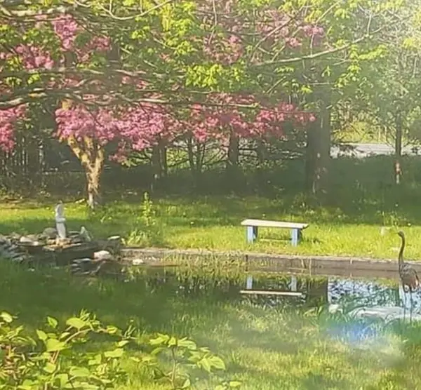 591 CONCESSION 4 RD, Alfred And Plantagenet, ON K0B 1L0