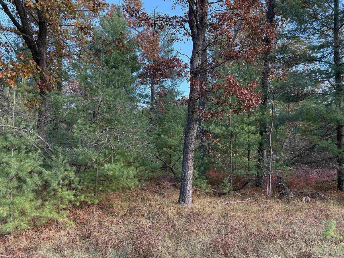 Lot 99 Wilderness DR, Moffatt Twp, MI 48610