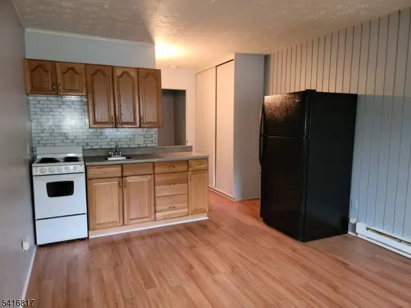 203 Old Chimney Ridge Rd #F, Montague Twp., NJ 07827