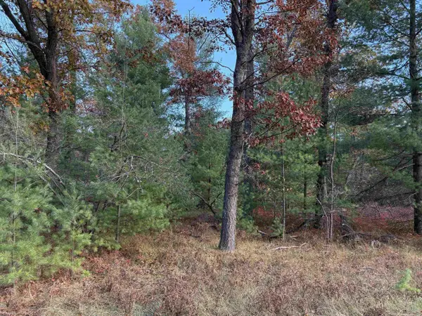 Lot 99 Wilderness DR, Moffatt Twp, MI 48610