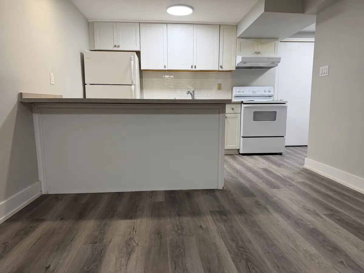 7 Carruthers CRES #BSMT, Barrie, ON L4M 6A7