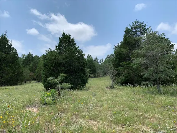 TBD Farm-to-Market 2494, Athens, TX 75751