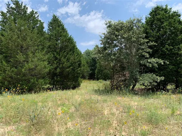 TBD Farm-to-Market 2494, Athens, TX 75751