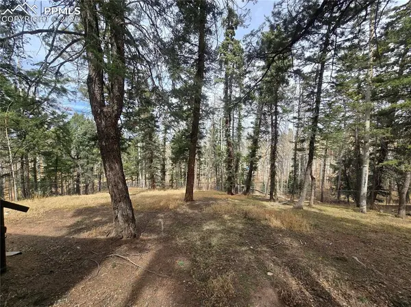 855 Will Stutley DR, Divide, CO 80814