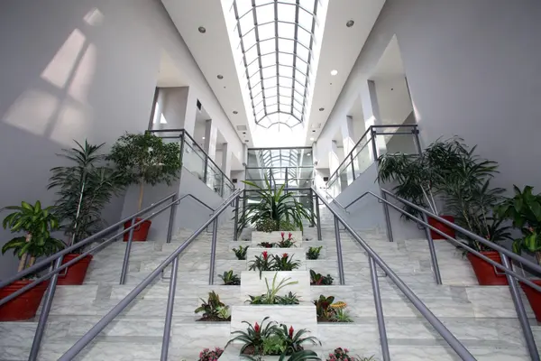 3 Hickory Tree RD #606, Toronto W04, ON M9N 3W5