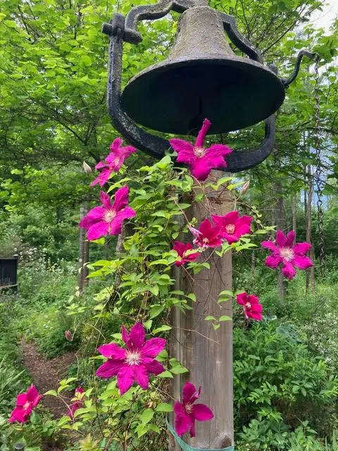 602 Elmbrook RD, Prince Edward County, ON K0K 2T0