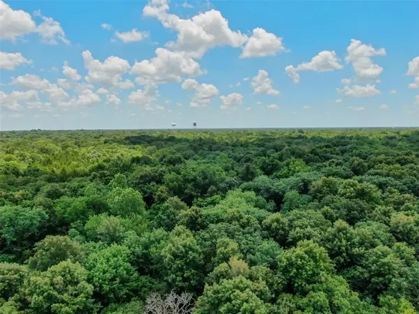 TBD Shelby Lane, Ladonia, TX 75449