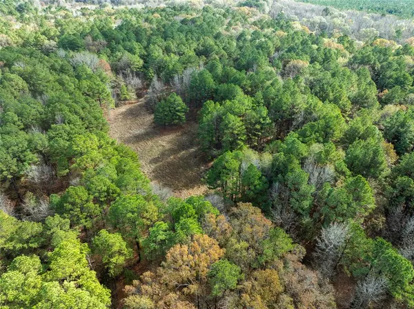 0 County Road 2235, Bagwell, TX 75412