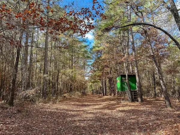 0 County Road 2235, Bagwell, TX 75412