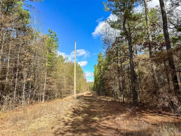 0 County Road 2235, Bagwell, TX 75412