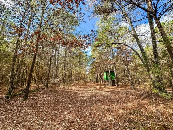 0 County Road 2235, Bagwell, TX 75412