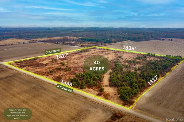 Vacant Land Custer RD, Sandusky, MI 48419