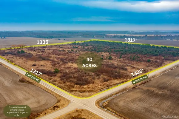 Vacant Land Custer RD, Sandusky, MI 48419