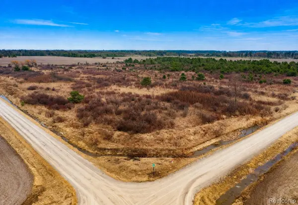 Vacant Land Custer RD, Sandusky, MI 48419