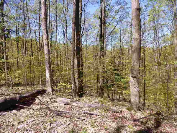 Parcel B Broken Arrow, Kearney Twp, MI 49615