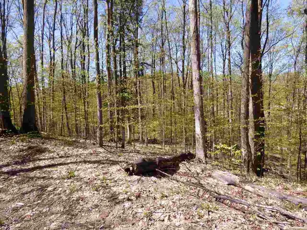 Parcel B Broken Arrow, Kearney Twp, MI 49615