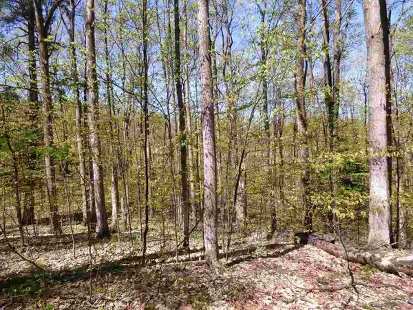 Parcel B Broken Arrow, Kearney Twp, MI 49615