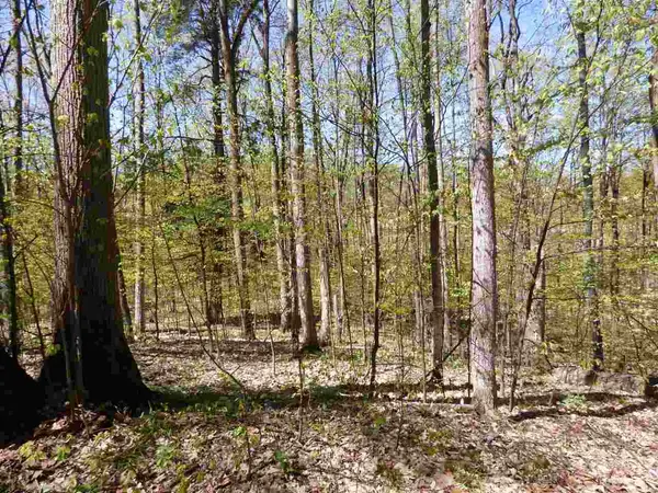 Parcel B Broken Arrow, Kearney Twp, MI 49615