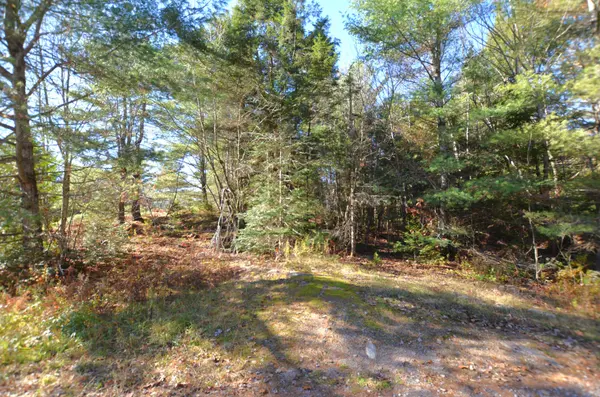 2 Parker Bay RD, Whitestone, ON P0A 1G0