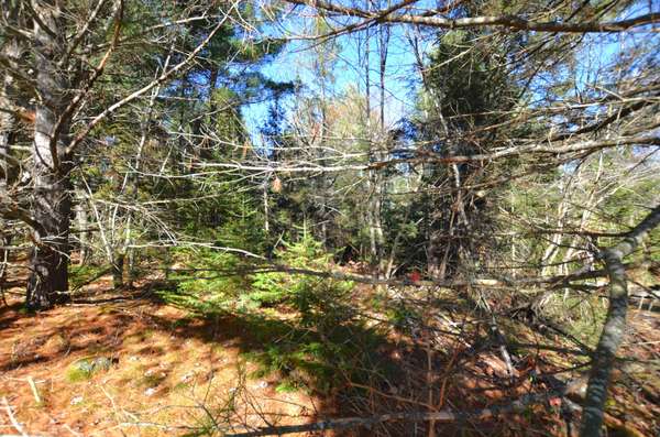 2 Parker Bay RD, Whitestone, ON P0A 1G0