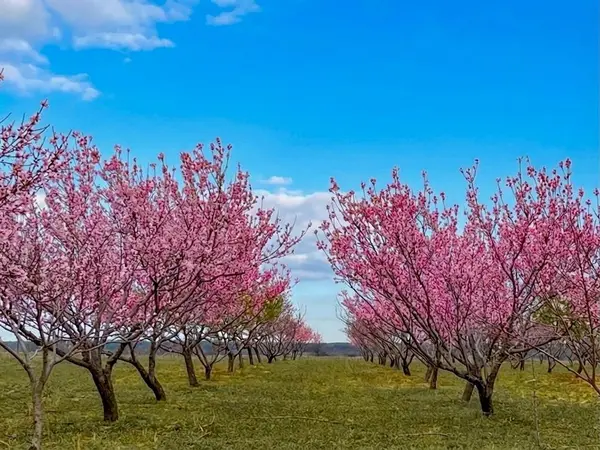 7328 HWY 183 N, Early, TX 76802