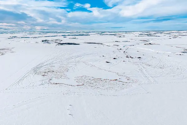 Pt. NW-19-73-4-W6 734 Township, Sexsmith, AB T0H 3C0