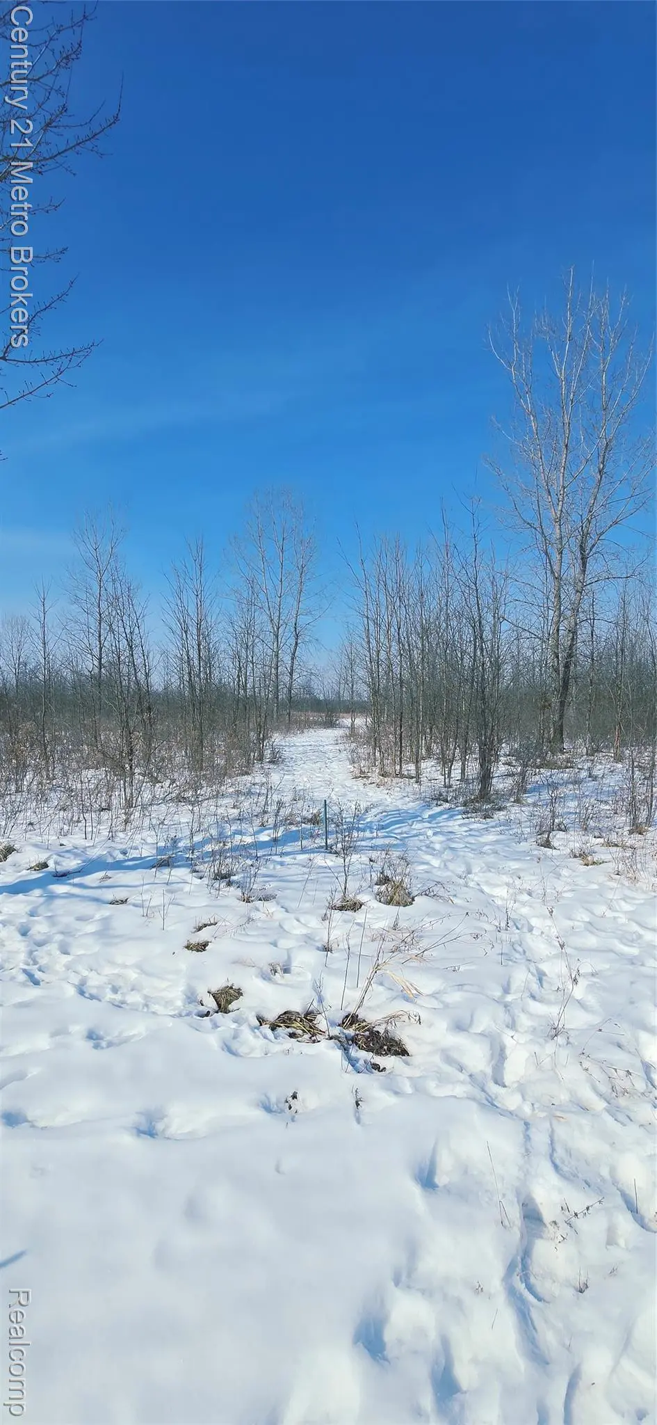 Parcel C Tabitha LN, Grand Blanc Charter Township, MI 48439