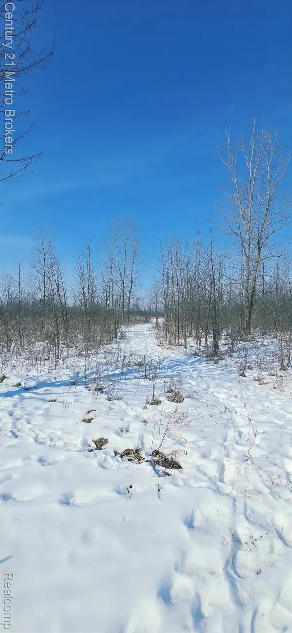 Parcel C Tabitha LN, Grand Blanc Charter Township, MI 48439