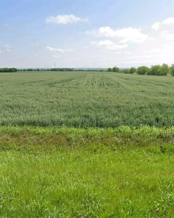 3632 CR-619, Venus, TX 76084