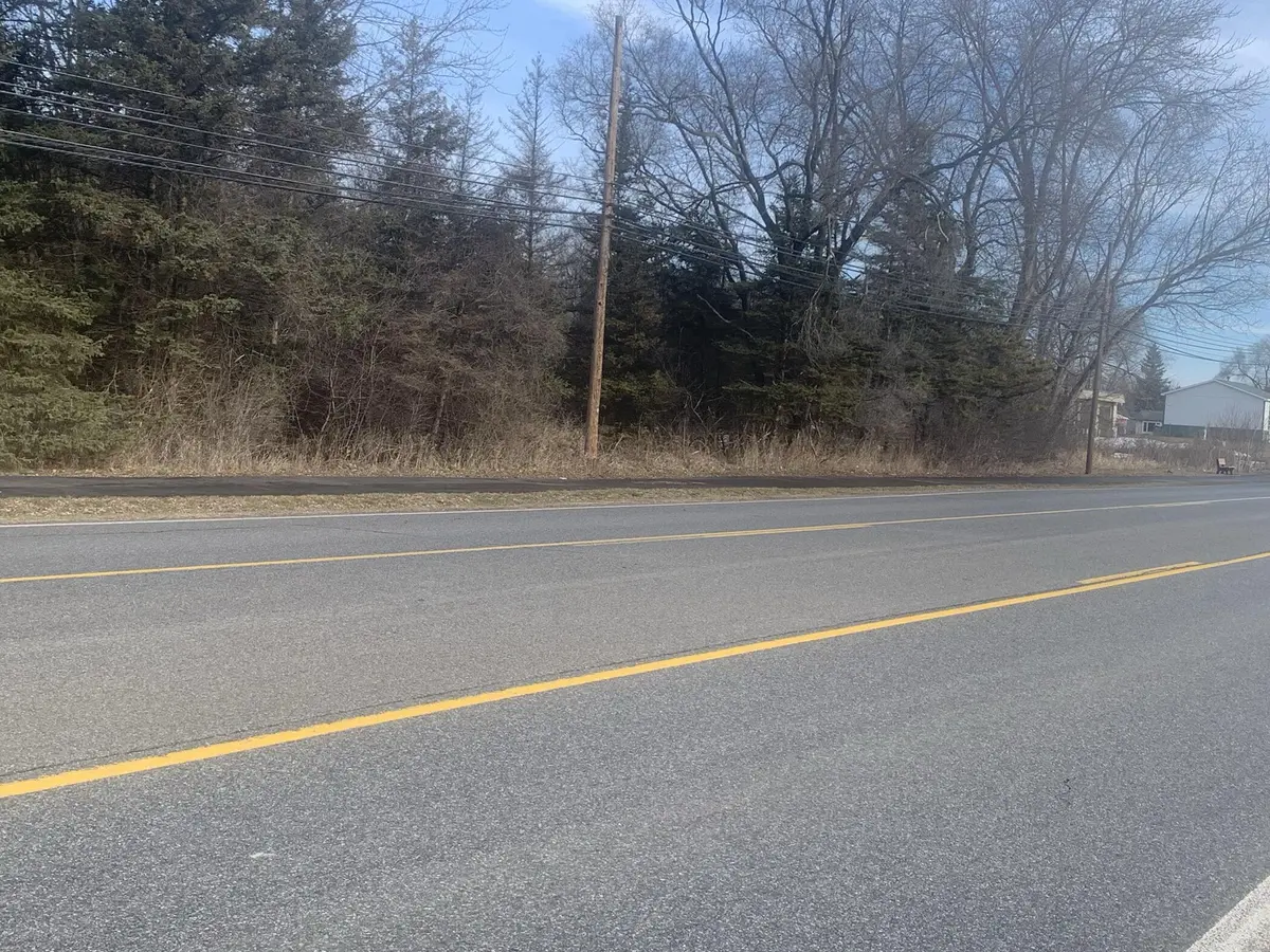 Parcel B W Shaw ST, Howard City, MI 49329