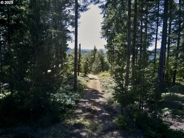 Phyllis Block Ann CT, Cougar, WA 98616