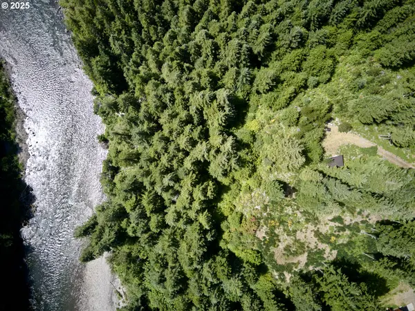 Phyllis Block Ann CT, Cougar, WA 98616