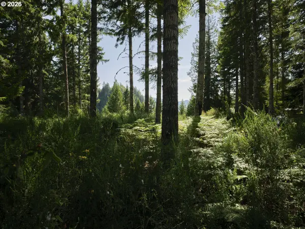 Phyllis Block Ann CT, Cougar, WA 98616