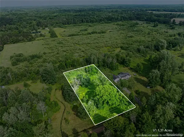 #0078 V/L Natures Nest RD, Vassar, MI 48768