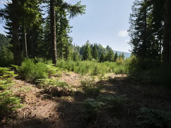 3 Phyllis Ann Block CT, Cougar, WA 98616