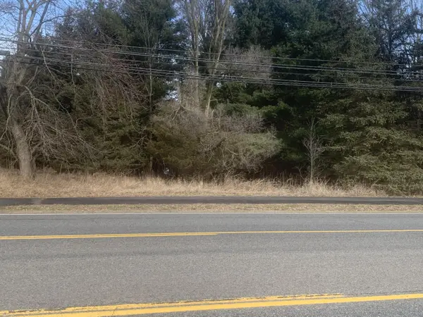 Parcel B W Shaw ST, Howard City, MI 49329