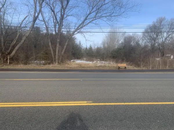 Parcel B W Shaw ST, Howard City, MI 49329