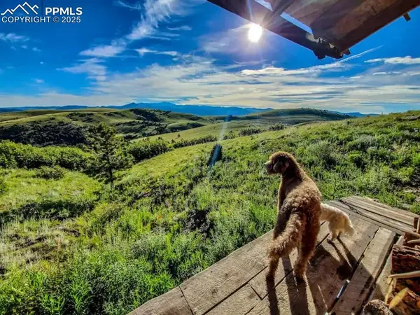 1160 Diamond Back TRL, Canon City, CO 81212