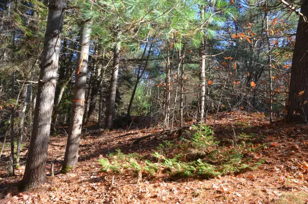 3 Parker Bay RD, Whitestone, ON P0G 1G0