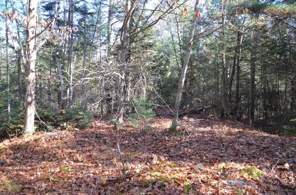 3 Parker Bay RD, Whitestone, ON P0G 1G0