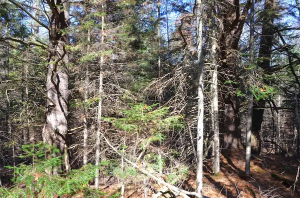 3 Parker Bay RD, Whitestone, ON P0G 1G0