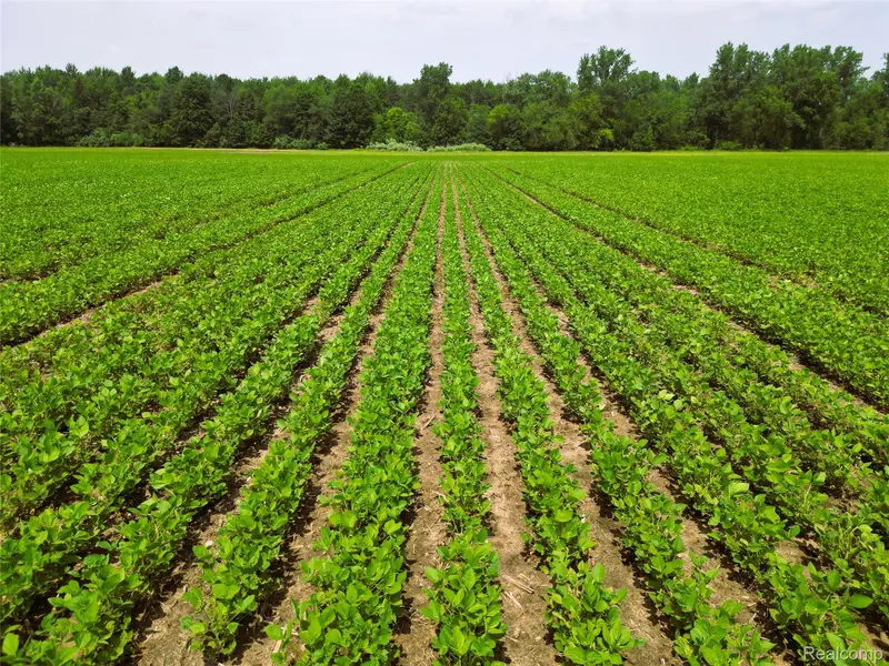 9654 BIRCH RUN RD, Arbela Township, MI 48746